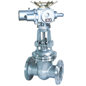 電動不鏽鋼閘閥