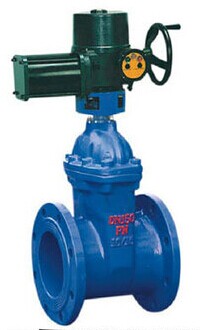 電動彈性座封閘閥